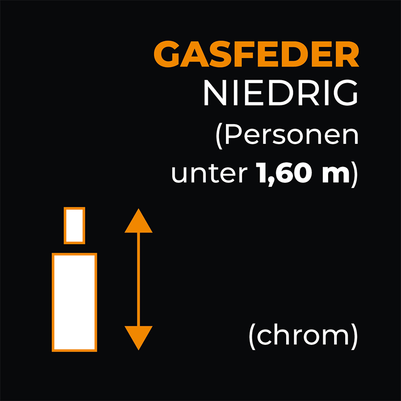 Gasfeder Chrom Niedrig