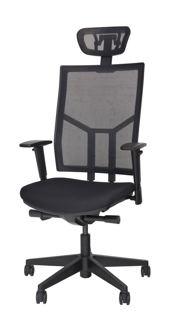 Ergo Net L Budget mit Kopfstütze 